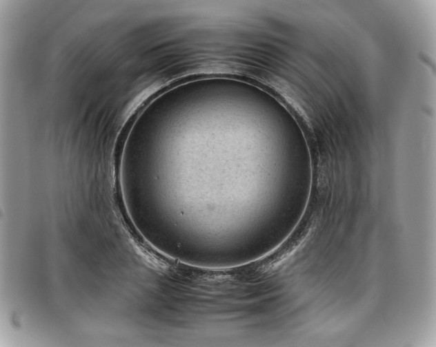 X0000096940837200802081204