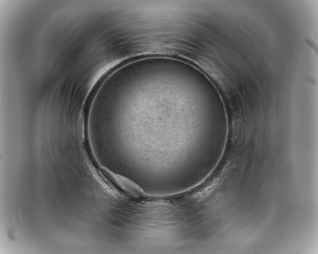 X0000096940838200802081204