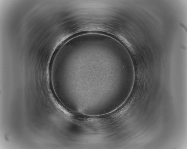 X0000096940840200802081204