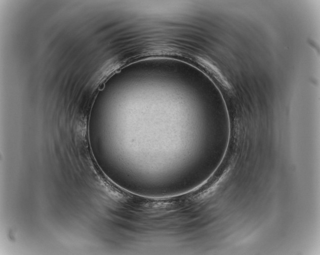 X0000096940841200802081204