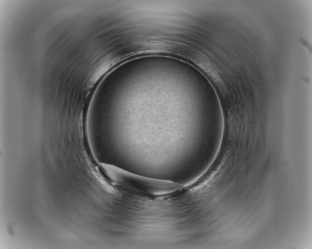X0000096940842200802081204