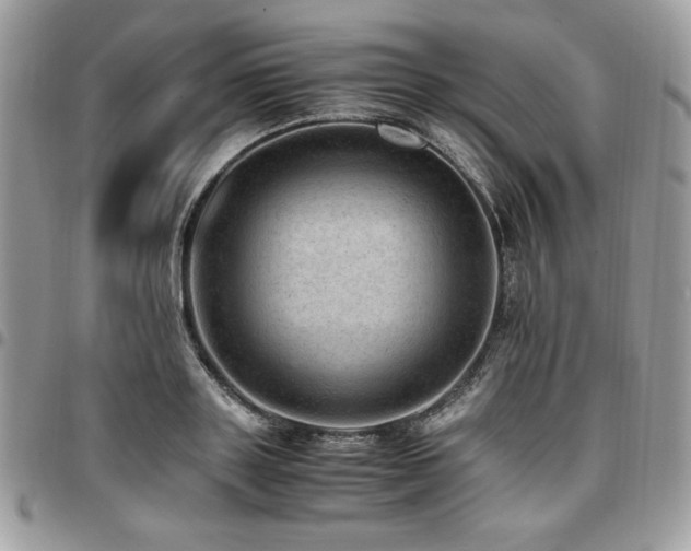 X0000096940843200802081204