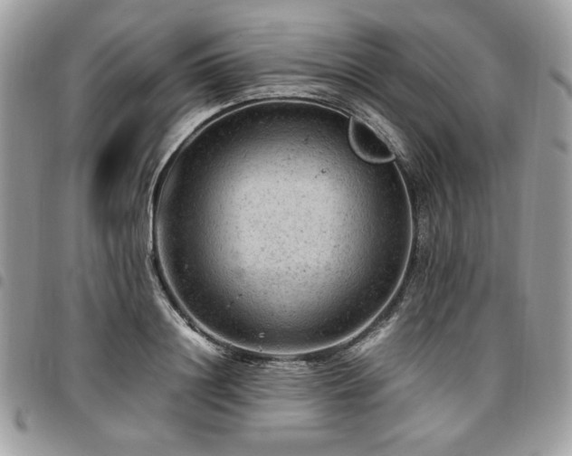 X0000096940844200802081204