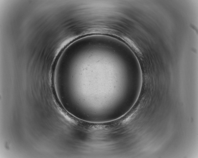 X0000096940846200802081204
