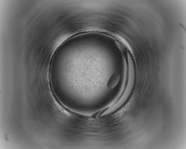 X0000096940847200802081204