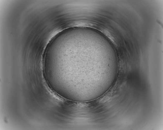 X0000096940848200802081204