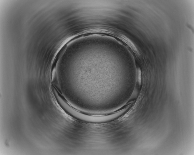 X0000096940852200802081204