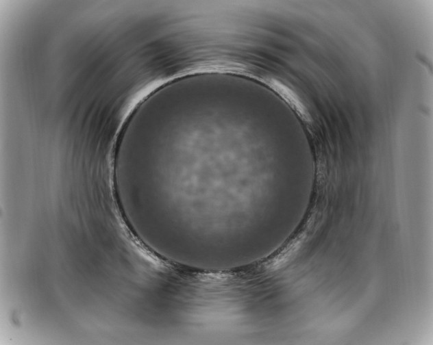 X0000096940854200802081204
