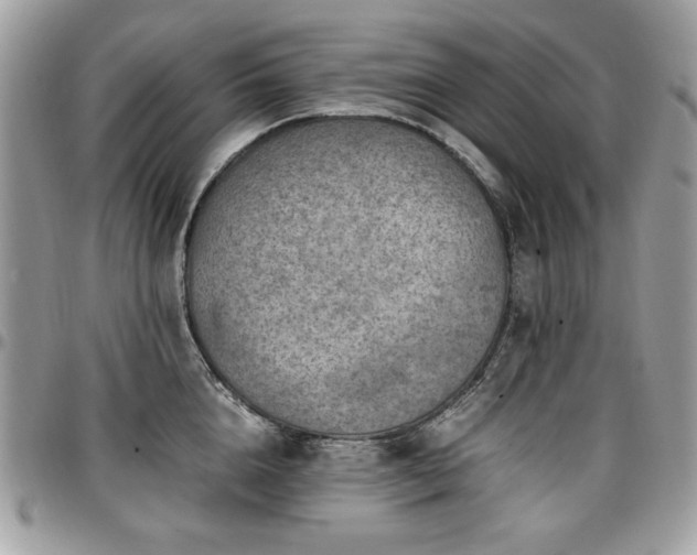 X0000096940856200802081204
