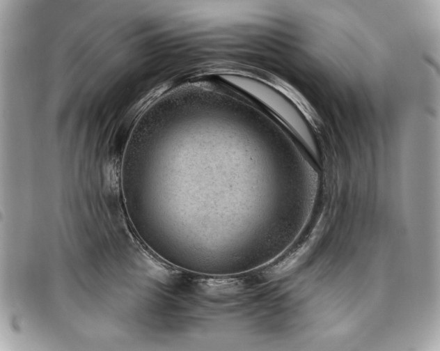 X0000096940857200802081204