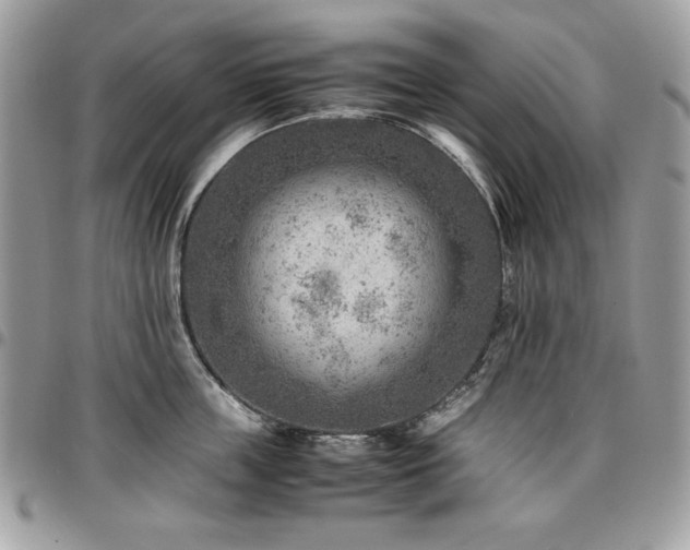 X0000096940859200802081204