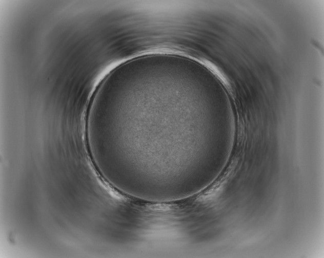 X0000096940862200802081204