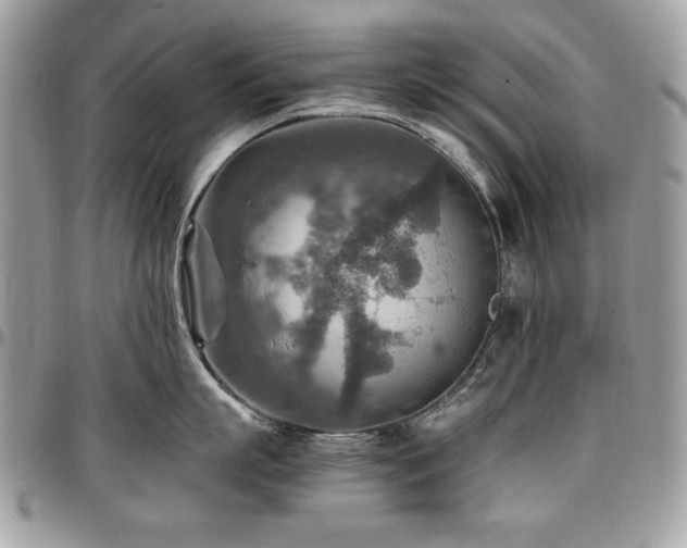X0000096940863200802081204