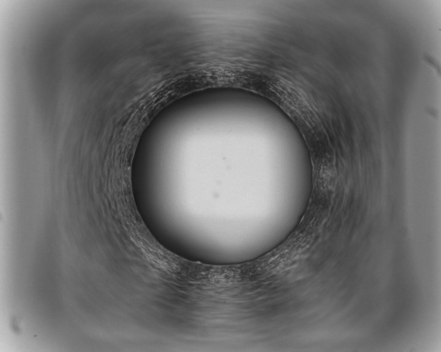 X0000096940865200802081204