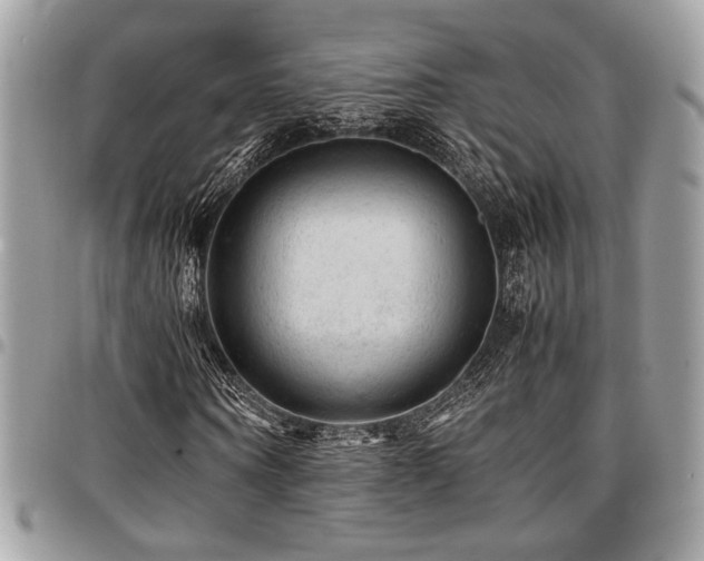 X0000096940866200802081204