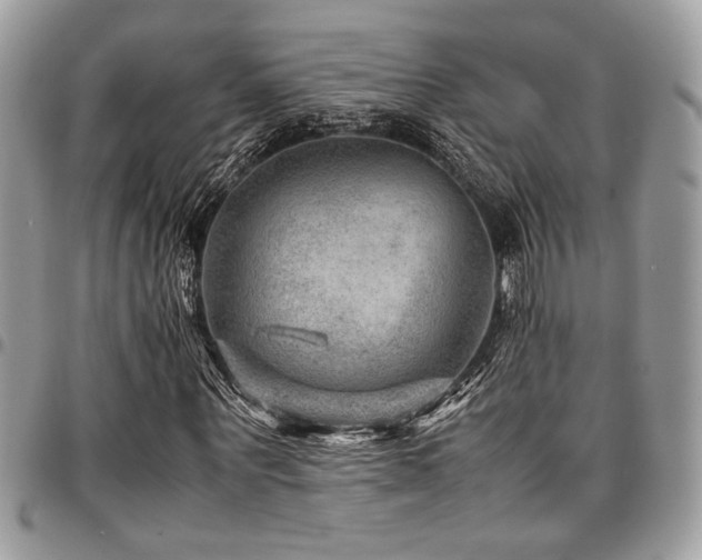 X0000096940867200802081204