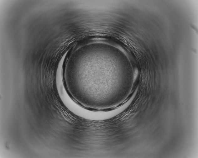 X0000096940868200802081204