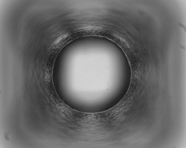 X0000096940869200802081203