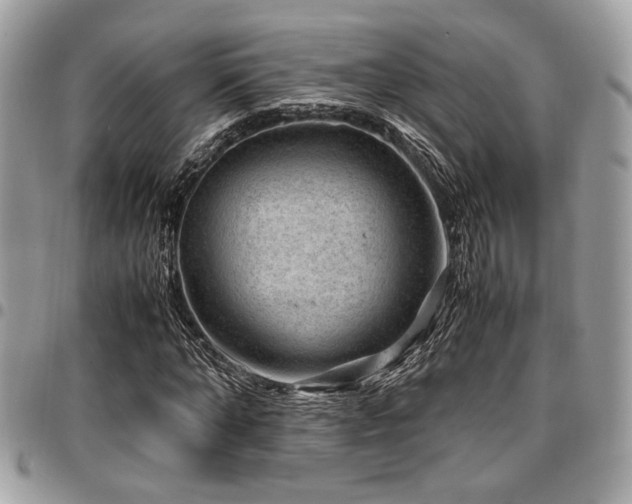 X0000096940870200802081203