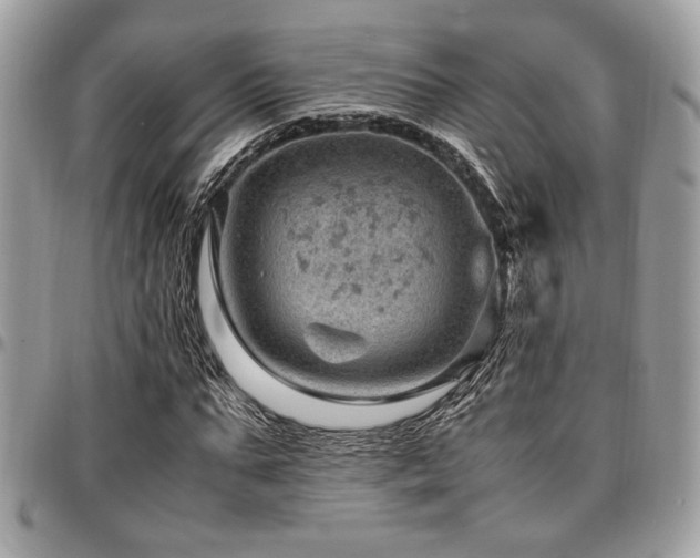 X0000096940871200802081203