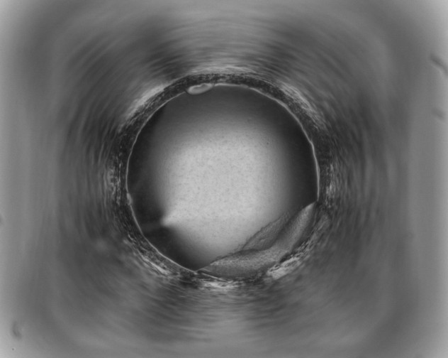 X0000096940872200802081203