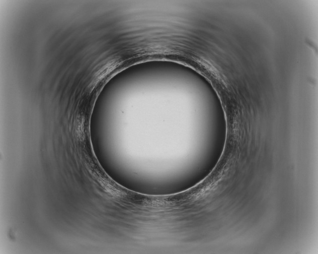 X0000096940873200802081203