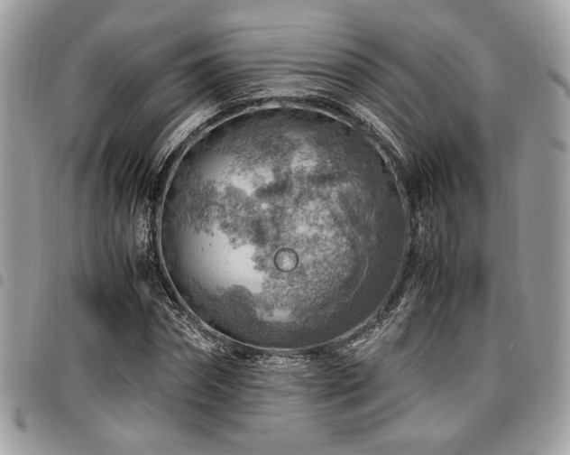 X0000096940874200802081203