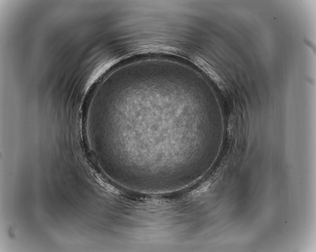 X0000096940877200802081203