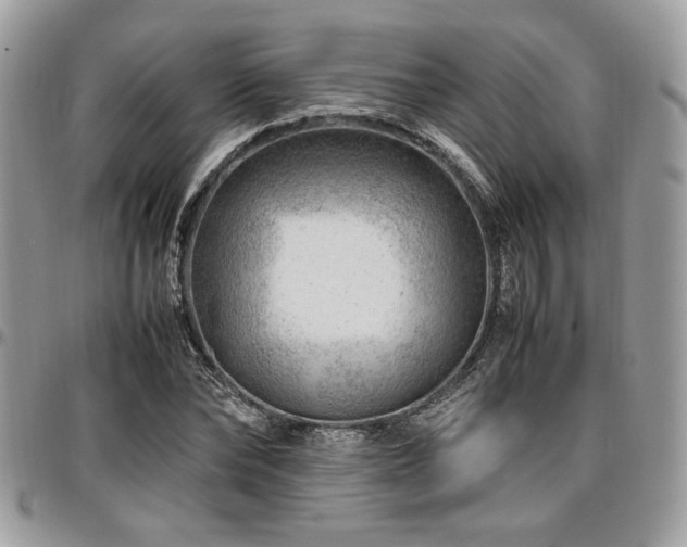 X0000096940878200802081203