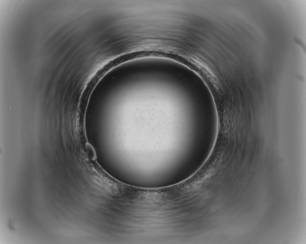 X0000096940880200802081203