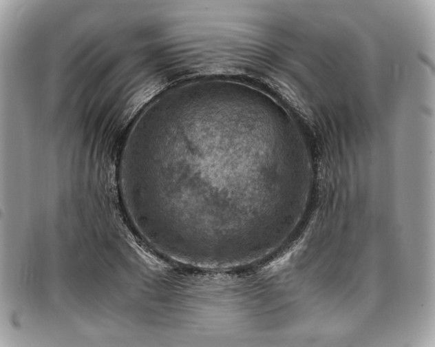 X0000096940881200802081203