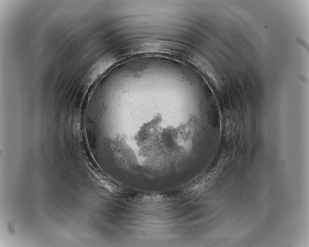 X0000096940882200802081203