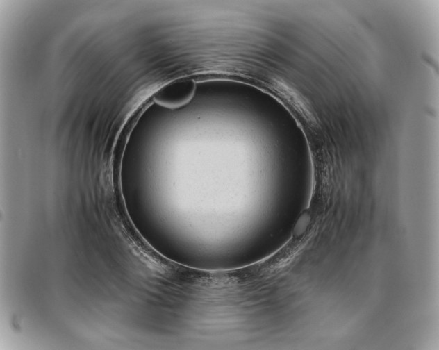 X0000096940884200802081203