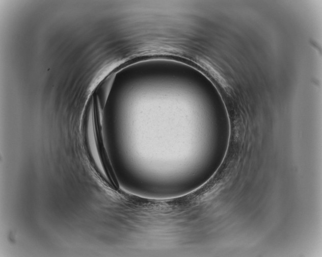 X0000096940885200802081203