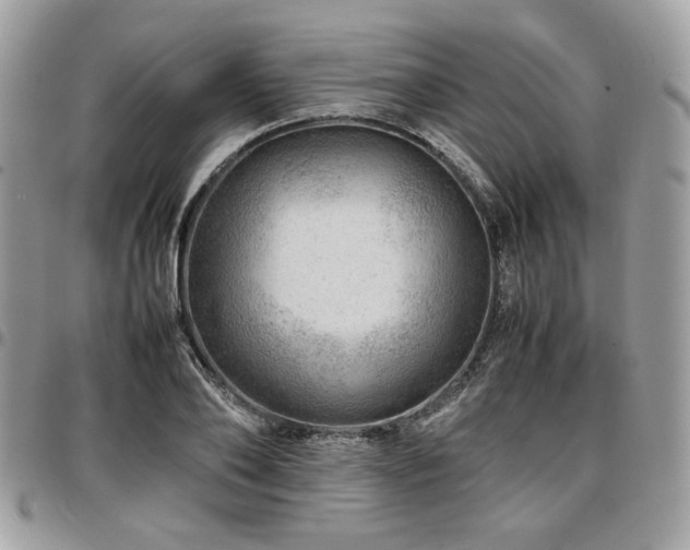 X0000096940886200802081203