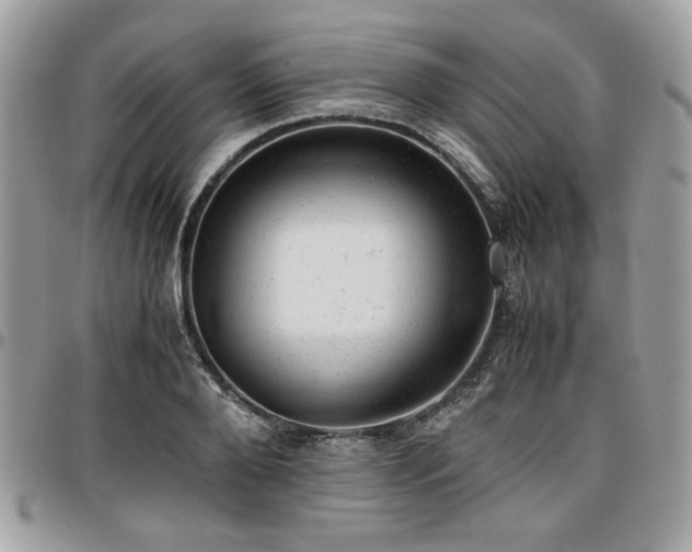 X0000096940888200802081203