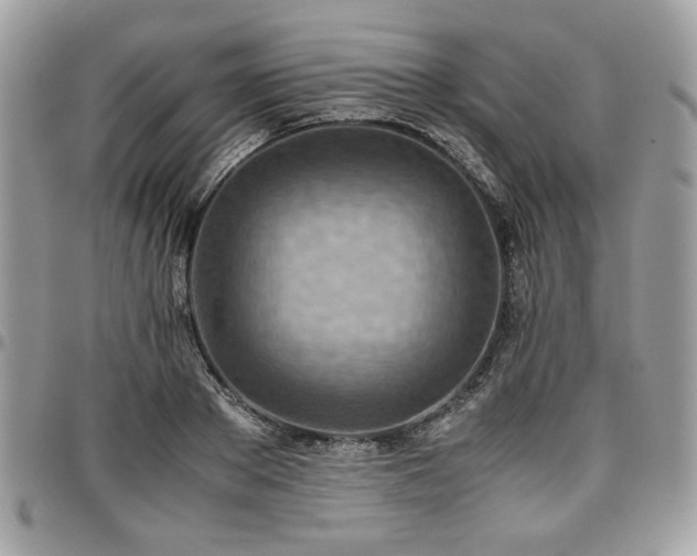 X0000096940889200802081203