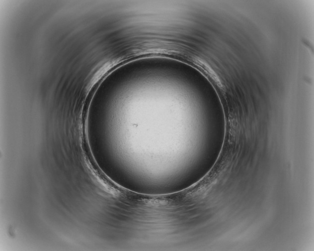 X0000096940890200802081203