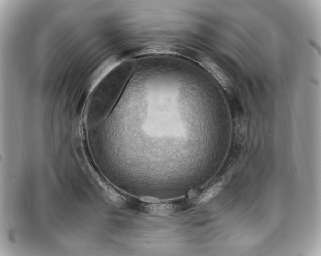 X0000096940893200802081203
