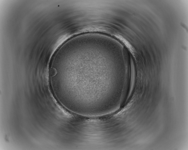 X0000096940894200802081203