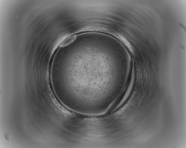 X0000096940896200802081203