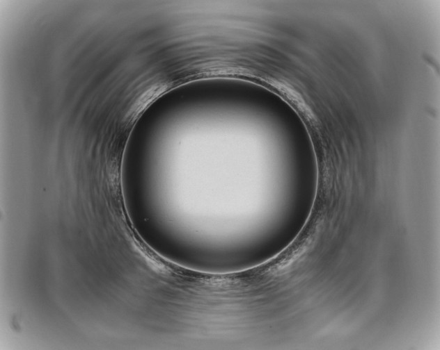 X0000096940897200802081203