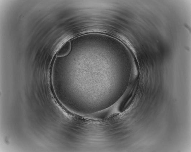 X0000096940898200802081203