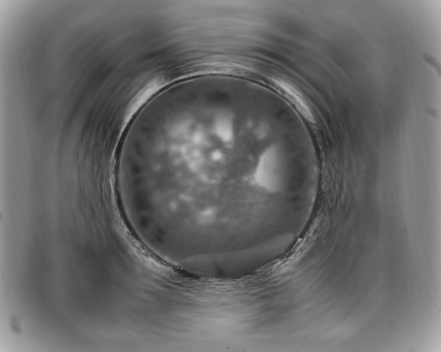 X0000096940899200802081203