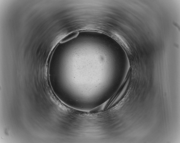 X0000096940900200802081203