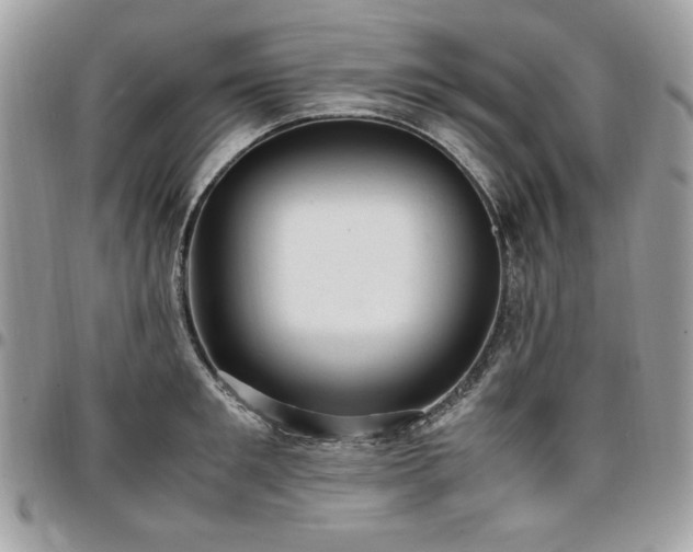 X0000096940901200802081203