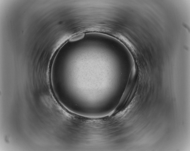X0000096940902200802081203