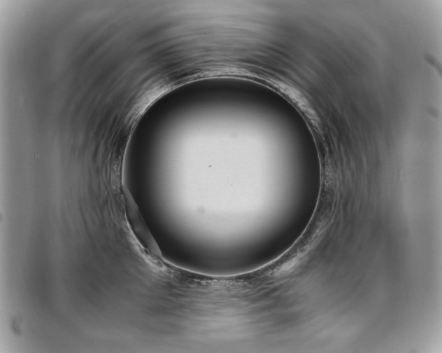 X0000096940905200802081203