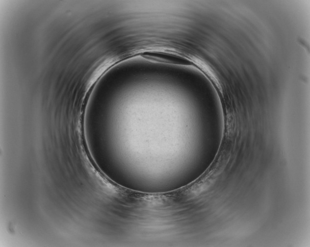 X0000096940906200802081203