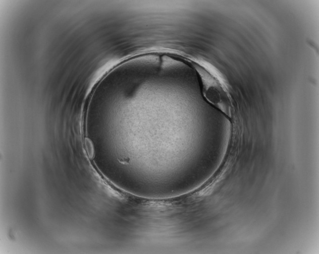 X0000096940910200802081203